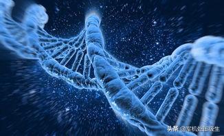 基因给人类带来哪些影响？